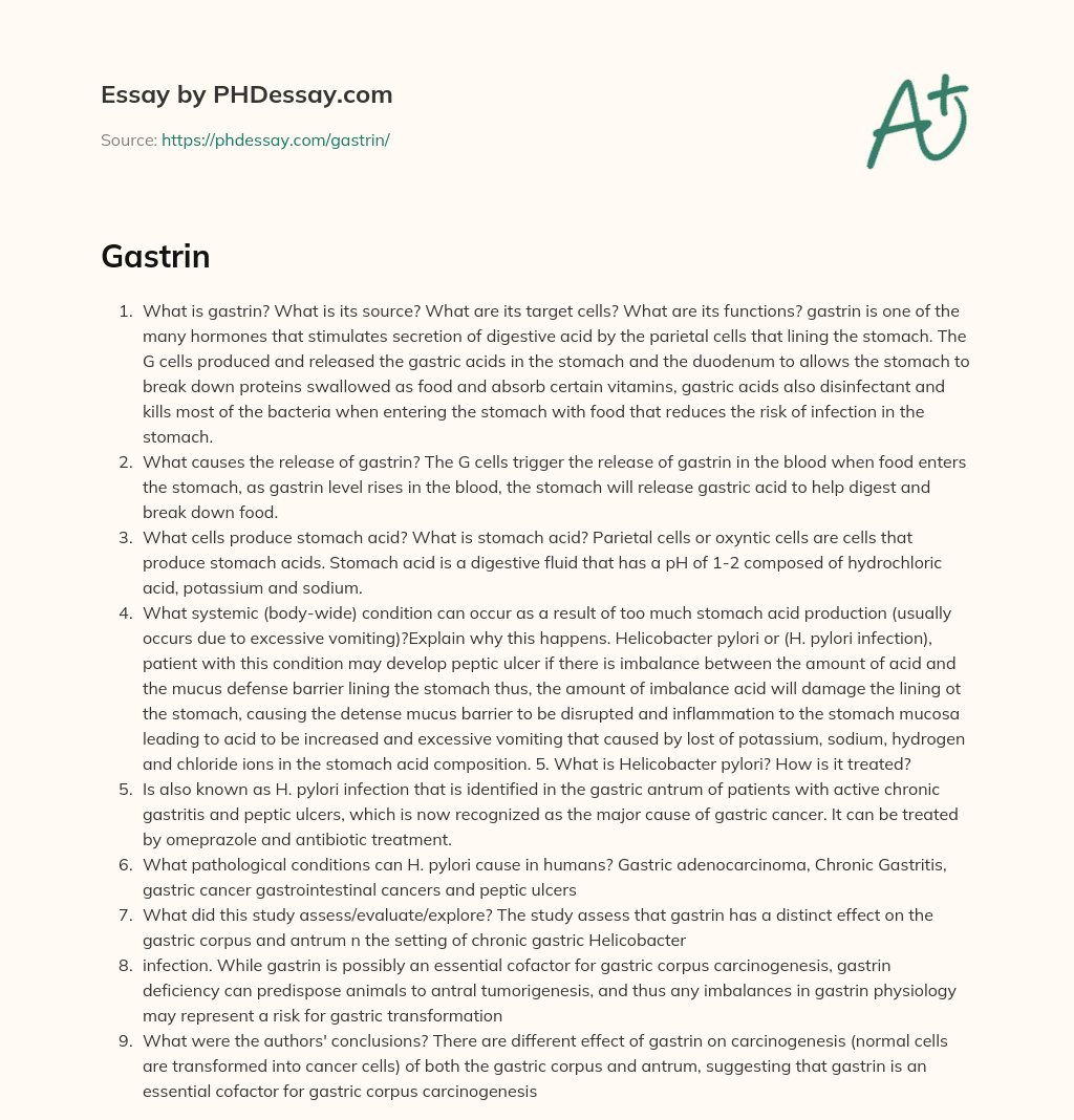 Gastrin essay