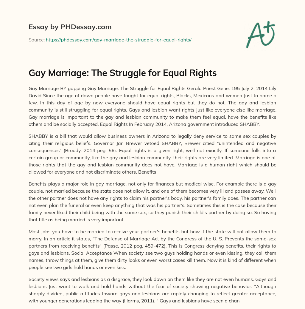Gay Marriage: The Struggle for Equal Rights essay