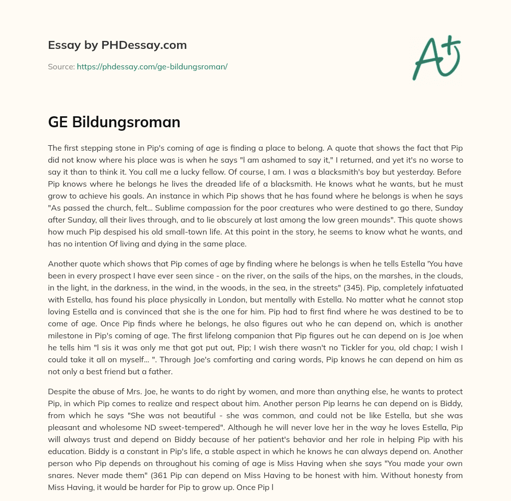 GE Bildungsroman essay
