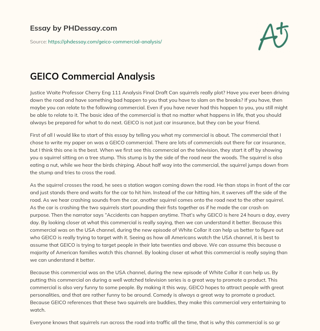 GEICO Commercial Analysis essay