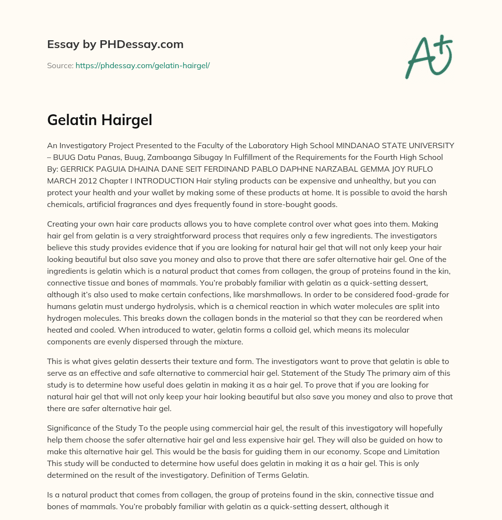 Gelatin Hairgel essay