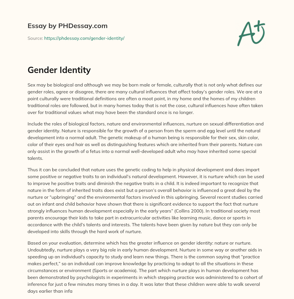 Gender Identity essay