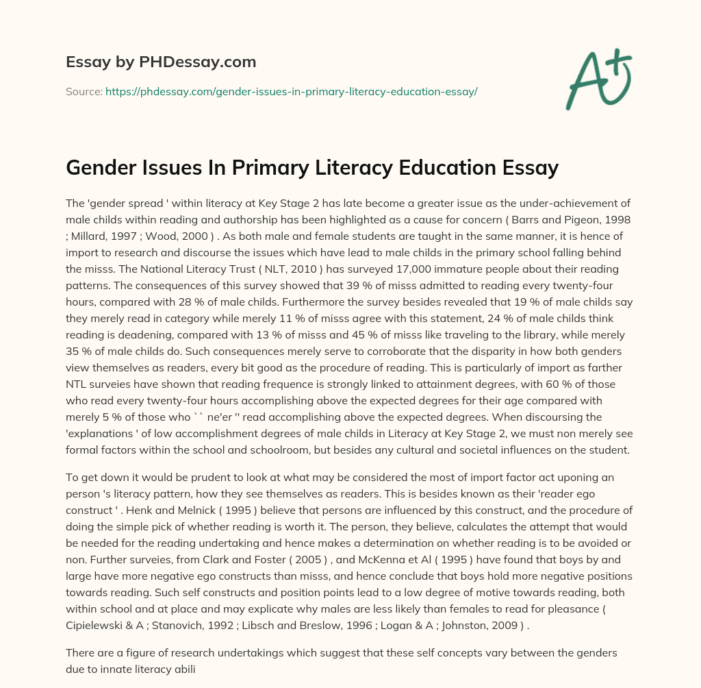 gender literacy essay