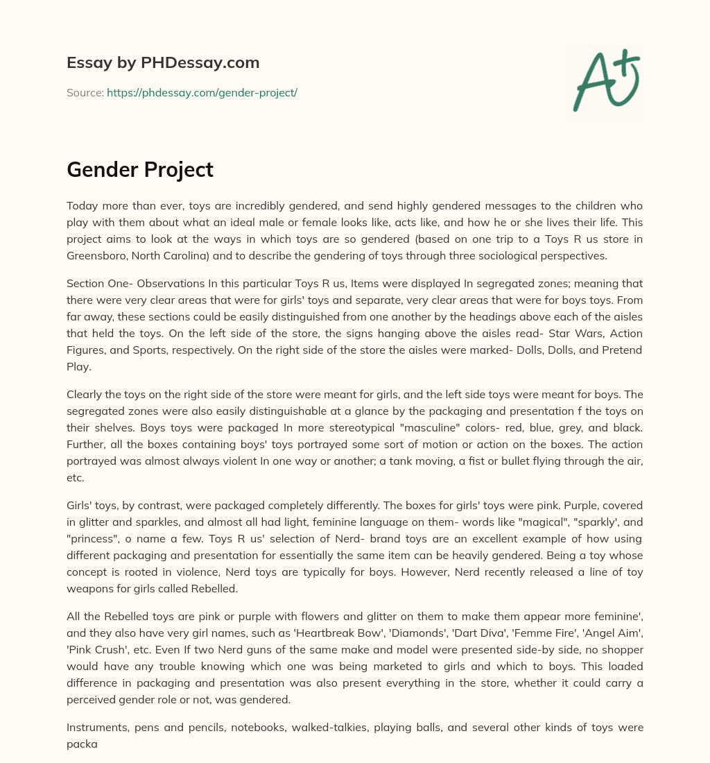 Gender Project essay