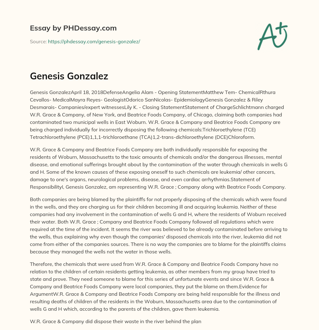 Genesis Gonzalez essay