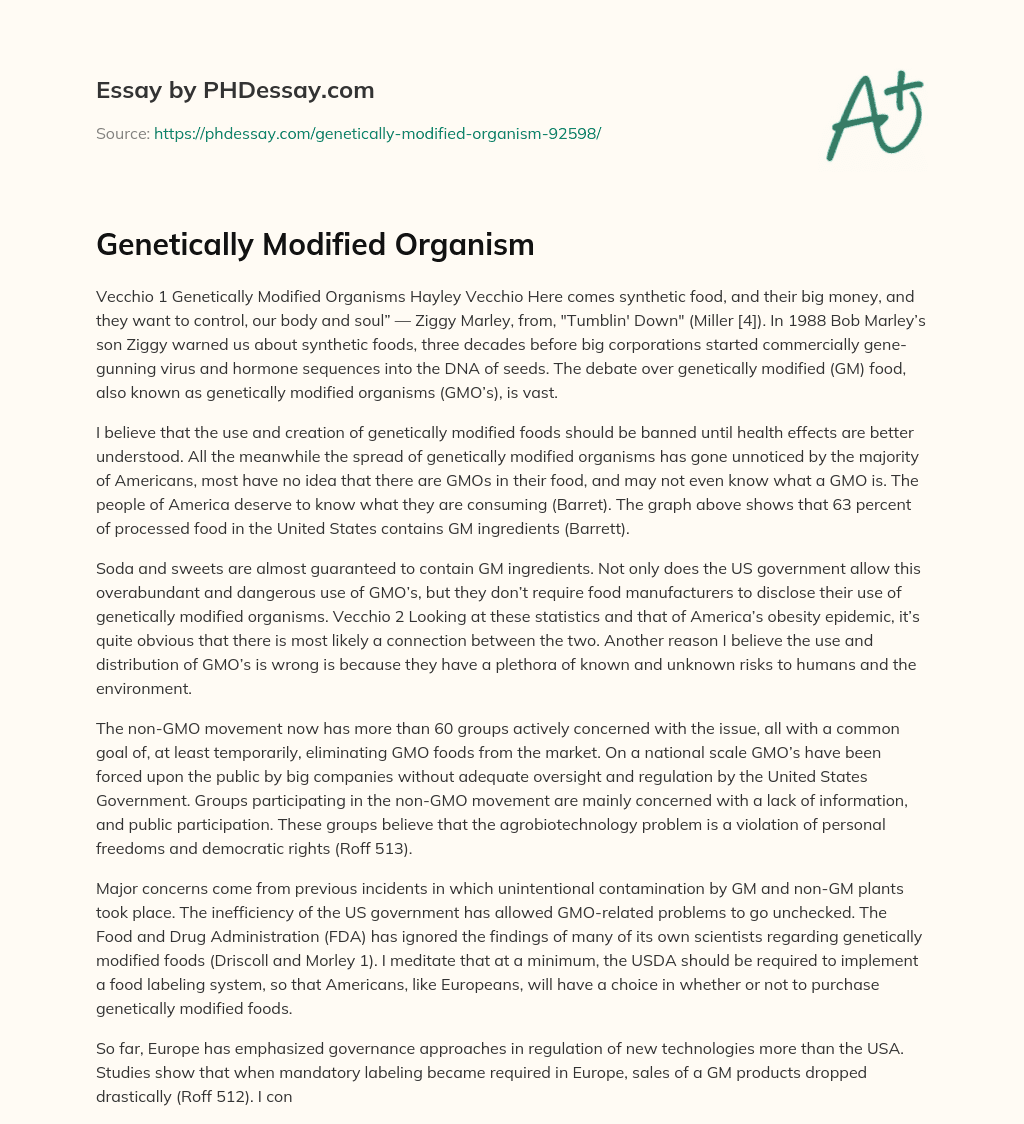 Genetically Modified Organism essay