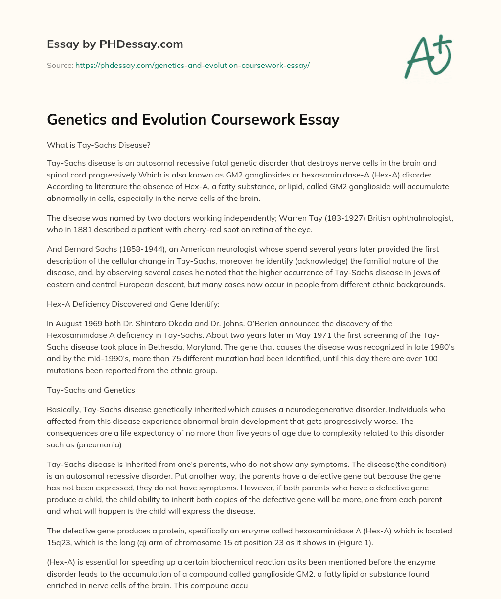 Genetics and Evolution Coursework Essay essay
