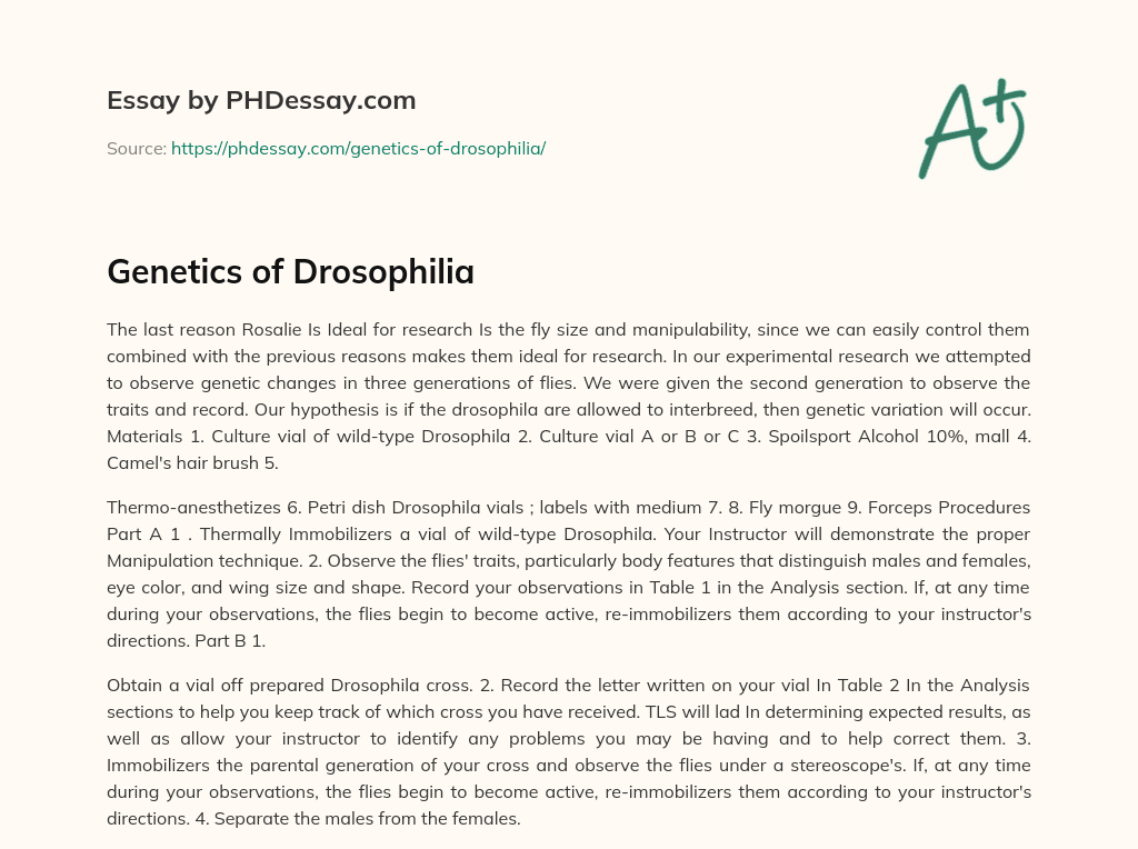 Genetics of Drosophilia essay