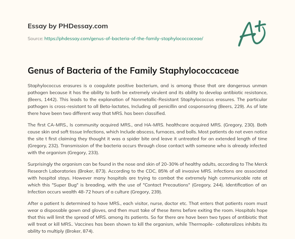 Genus of Bacteria of the Family Staphylococcaceae essay