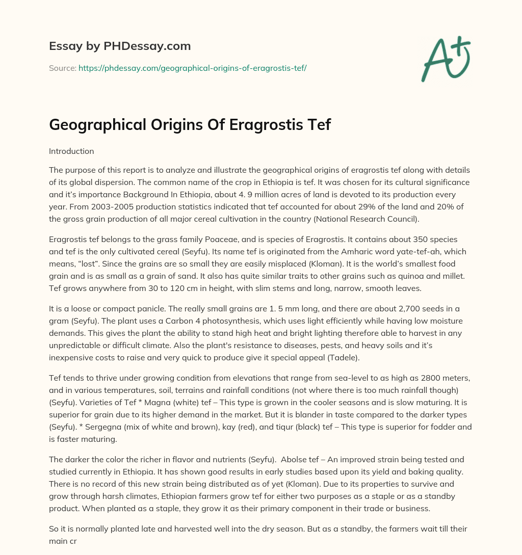 Geographical Origins Of Eragrostis Tef essay