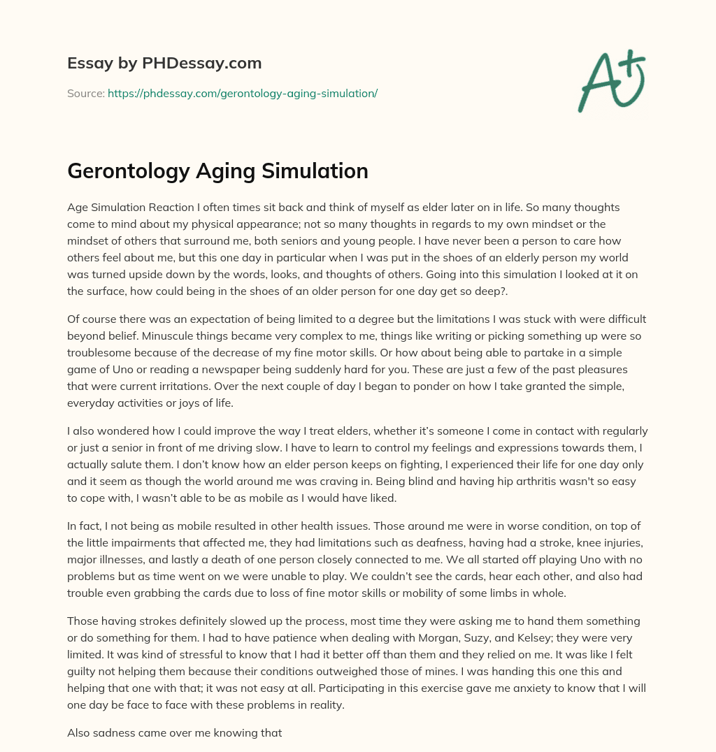 Gerontology Aging Simulation essay