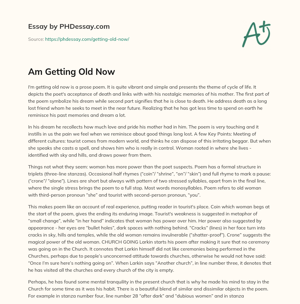 Am Getting Old Now essay