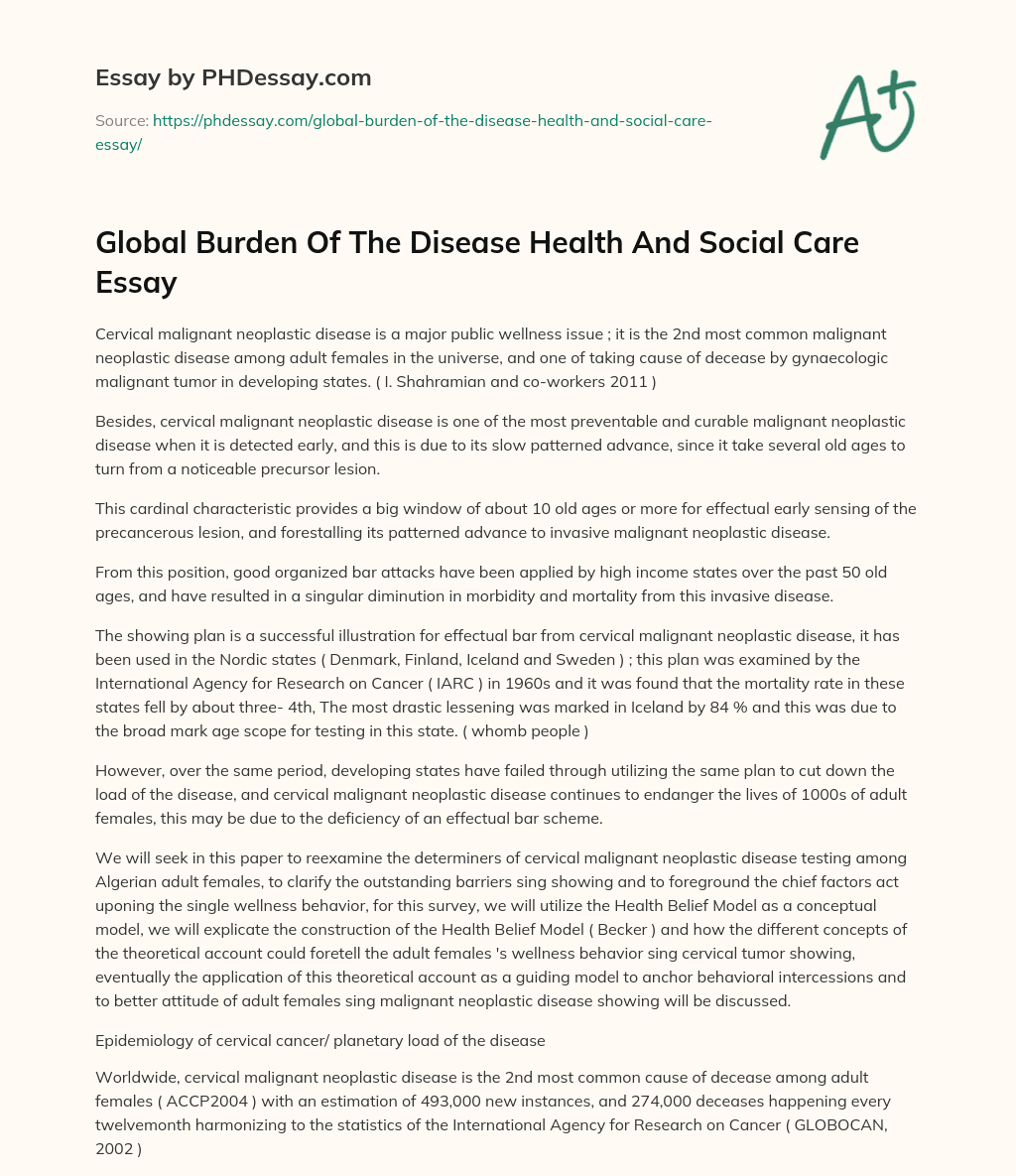 Global Burden Of The Disease Health And Social Care Essay essay