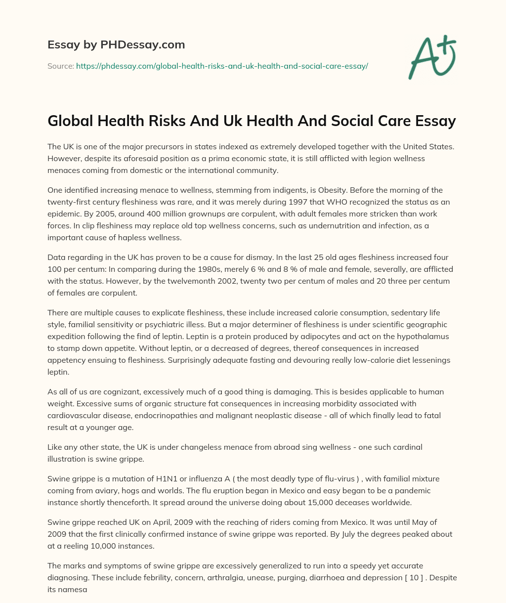 Global Health Risks And Uk Health And Social Care Essay essay