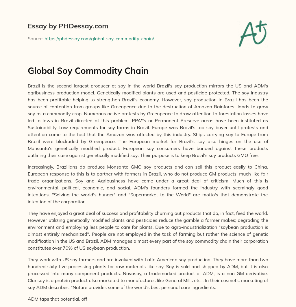 Global Soy Commodity Chain essay