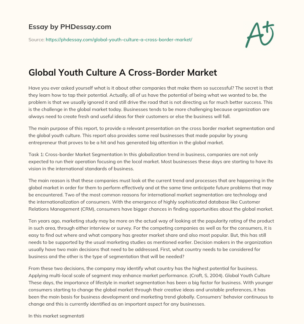 Global Youth Culture A Cross-Border Market essay