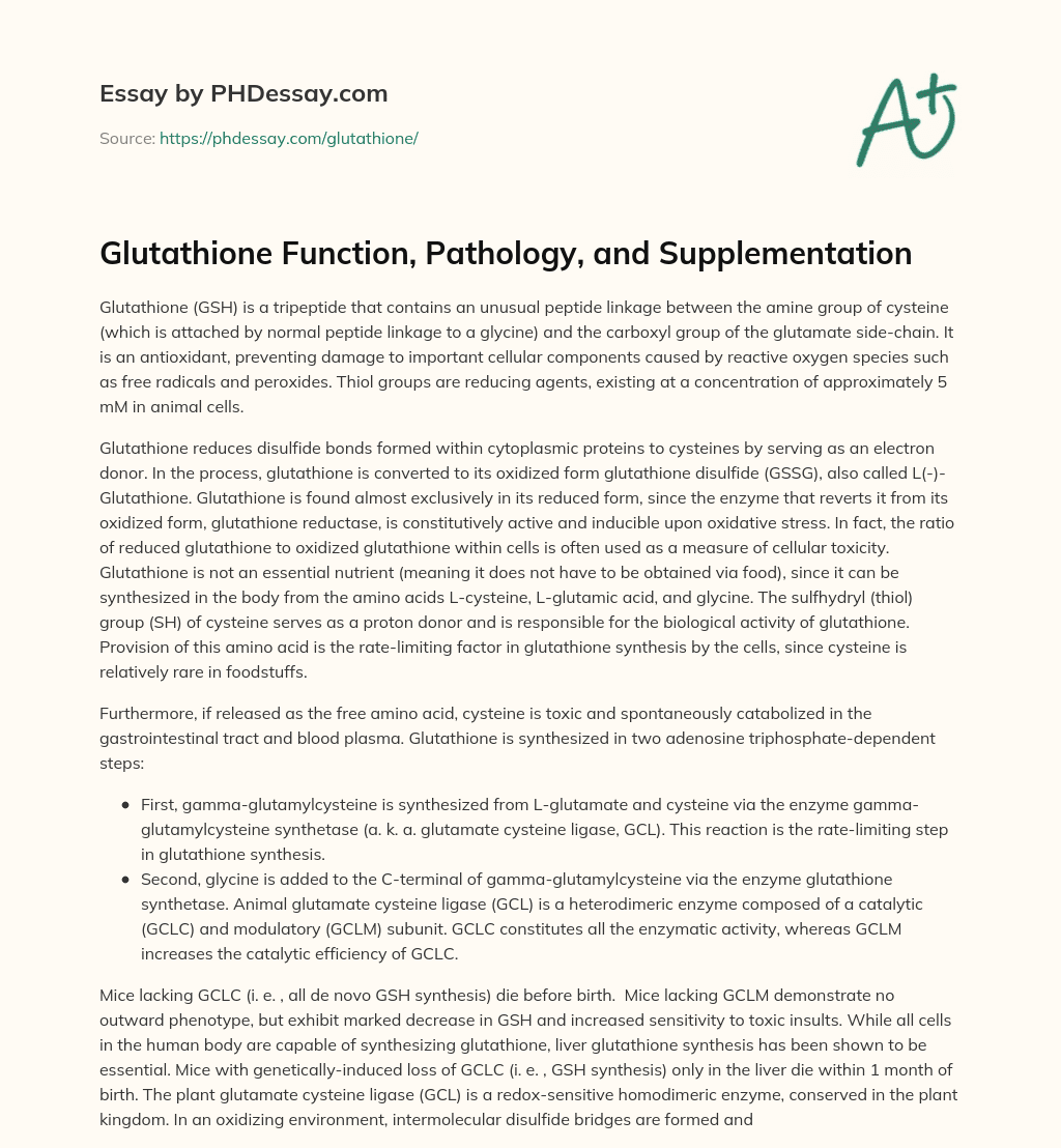 Glutathione Function, Pathology, and Supplementation essay