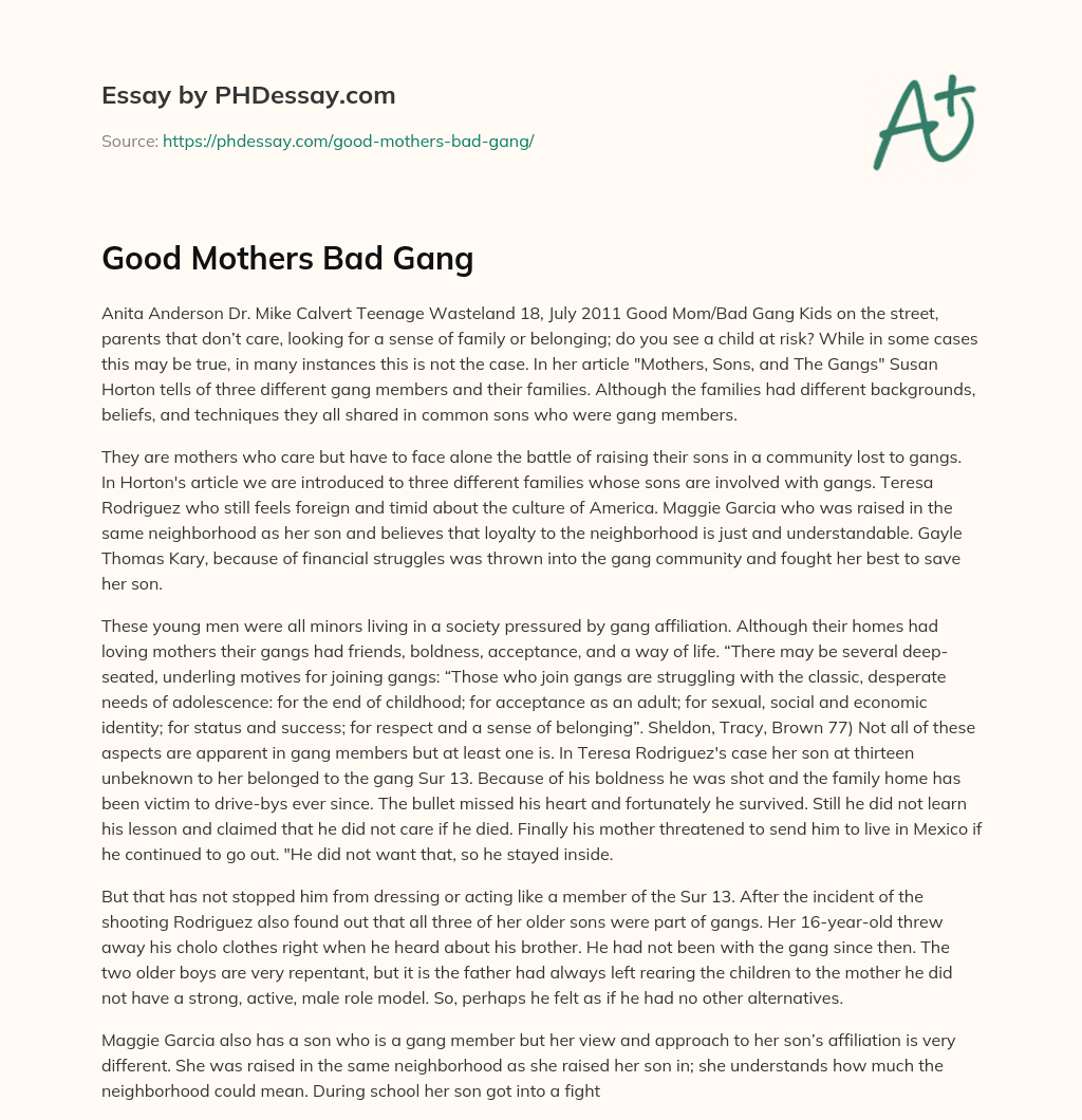 Good Mothers Bad Gang essay