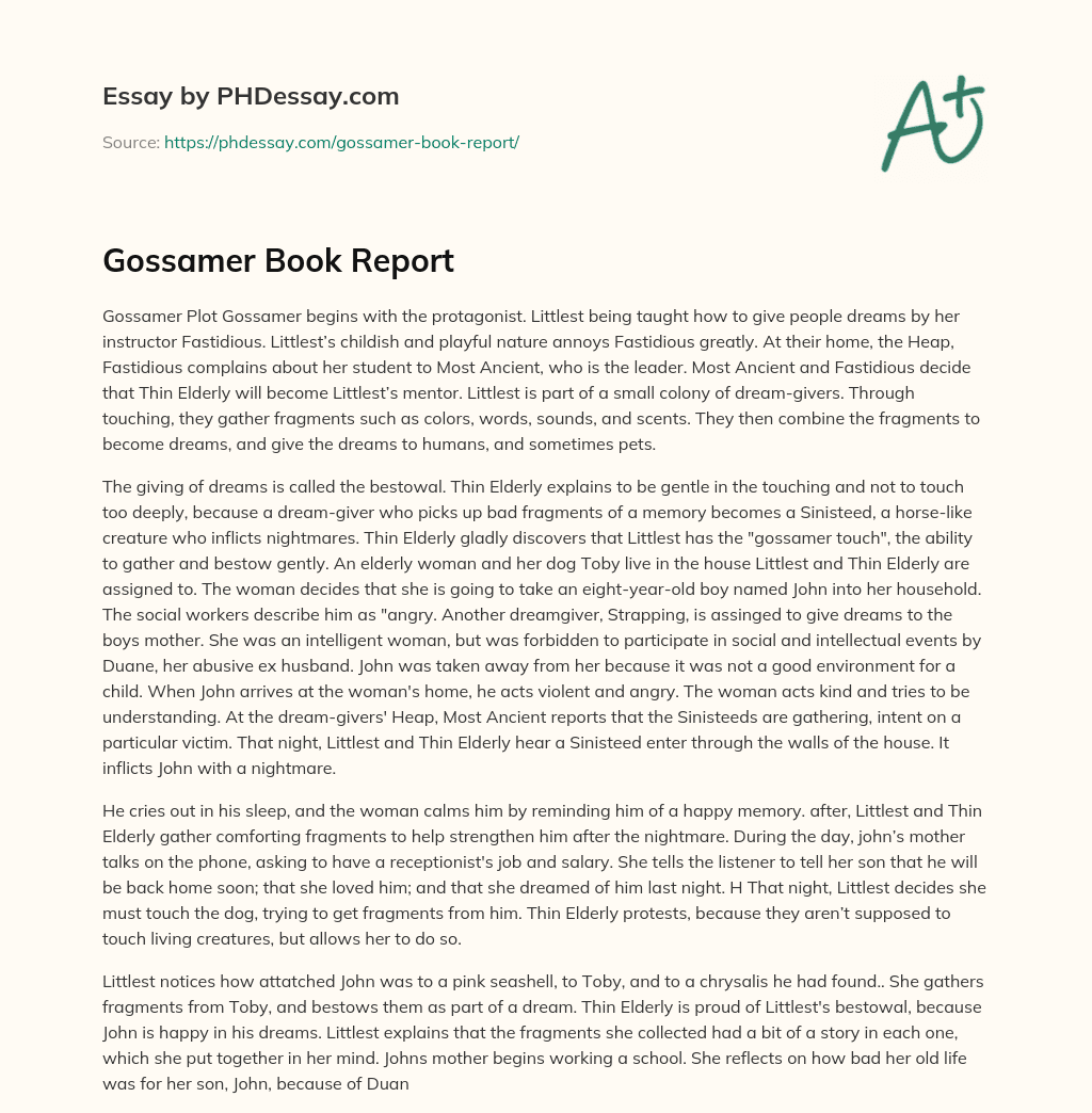 Gossamer Book Report essay