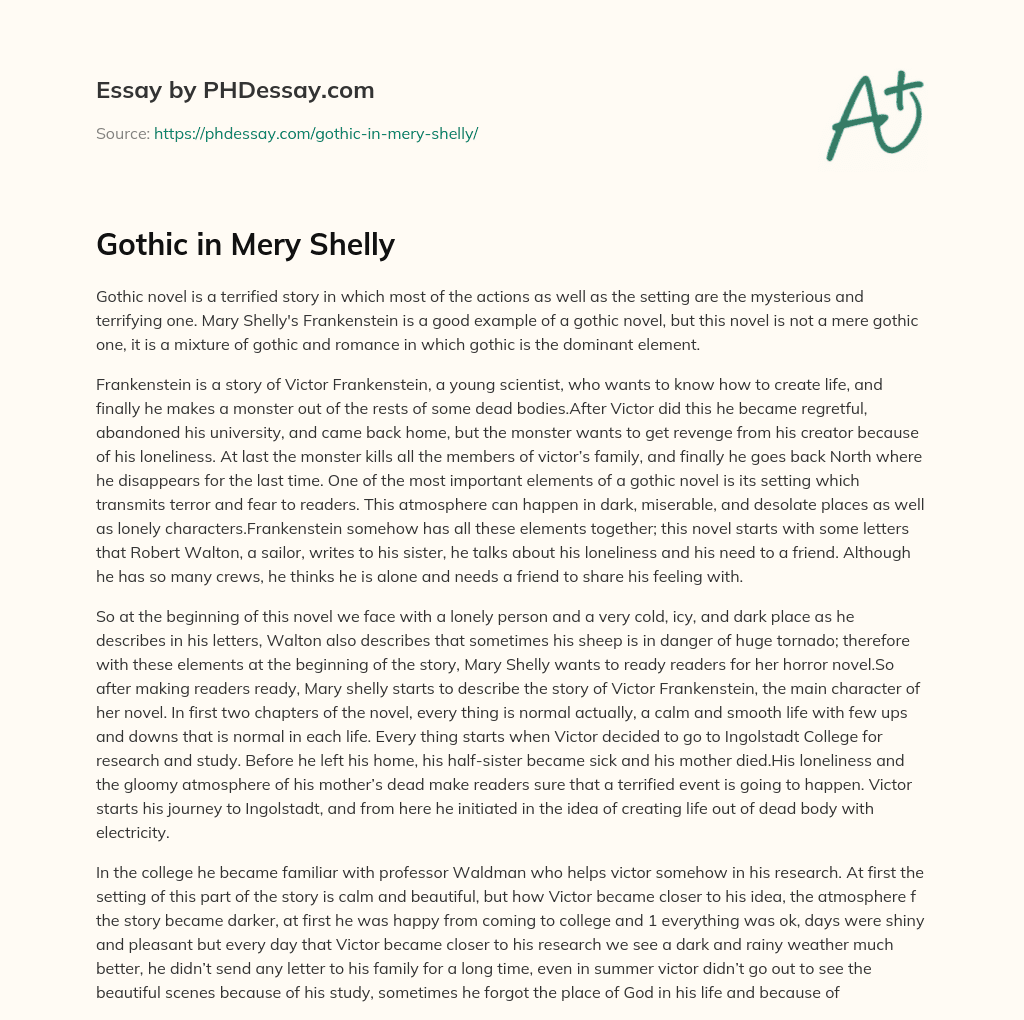 Gothic in Mery Shelly essay