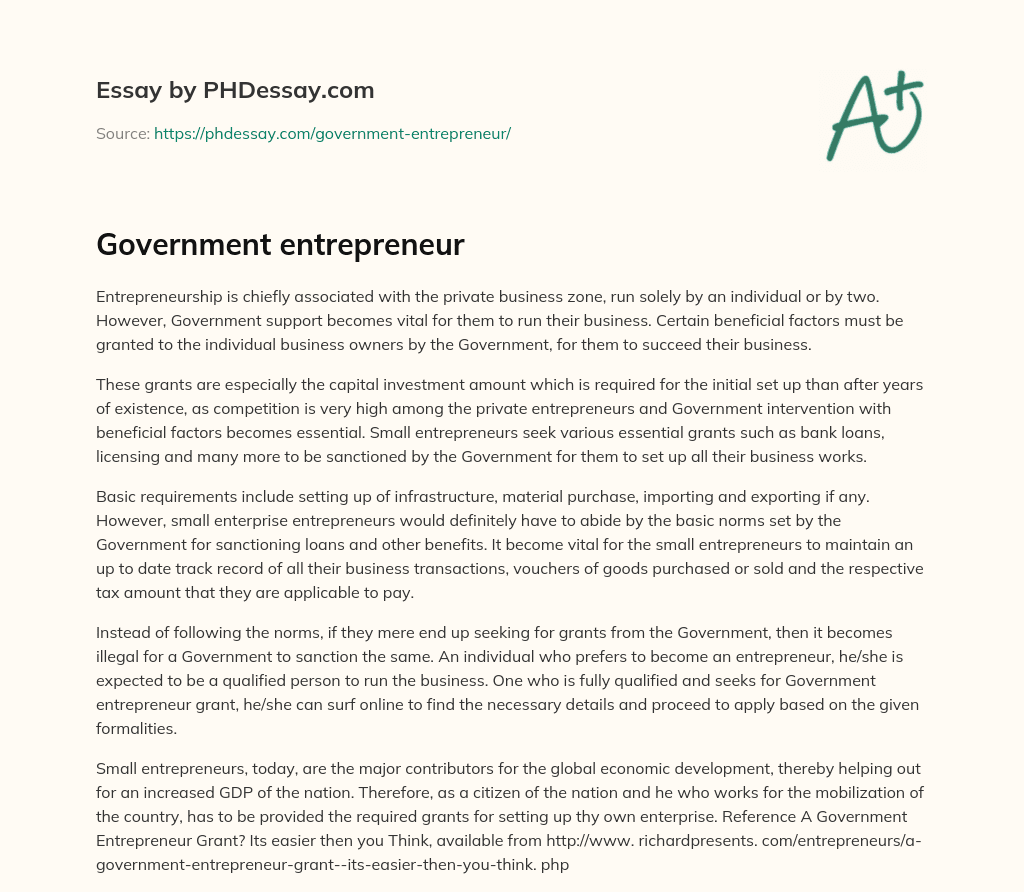 Government entrepreneur essay