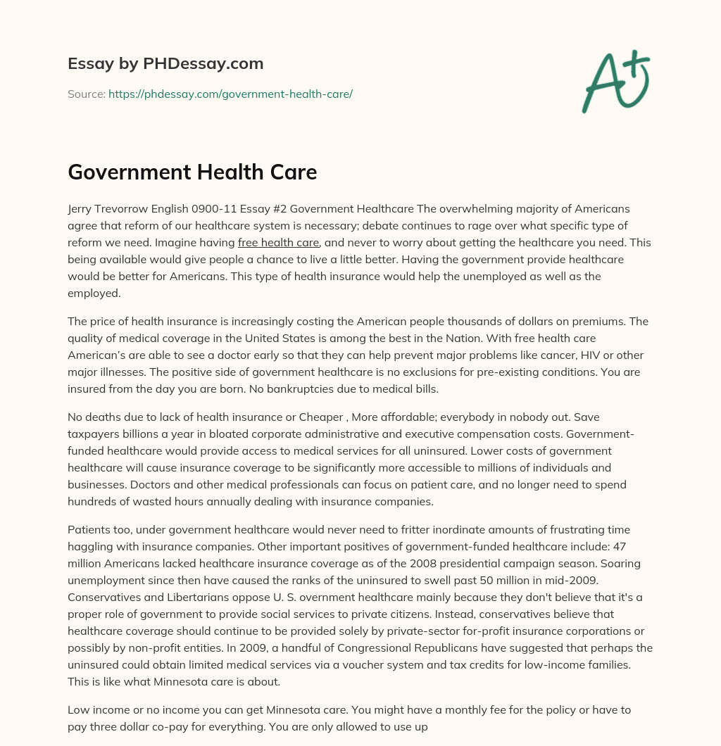 Government Health Care essay