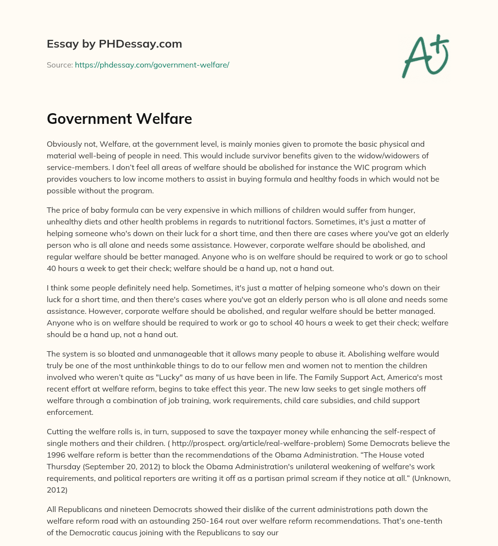 Government Welfare essay
