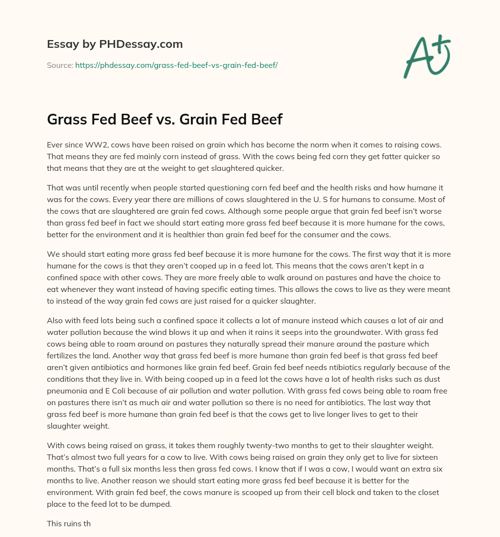 Grass Fed Beef vs. Grain Fed Beef essay