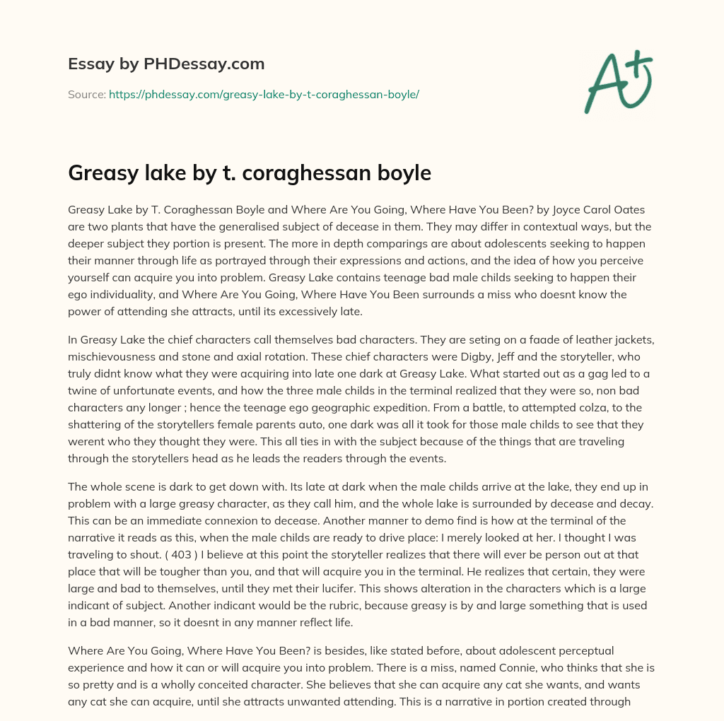 Greasy lake by t. coraghessan boyle essay