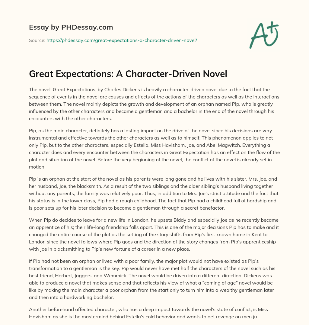 Great Expectations: A Character-Driven Novel essay