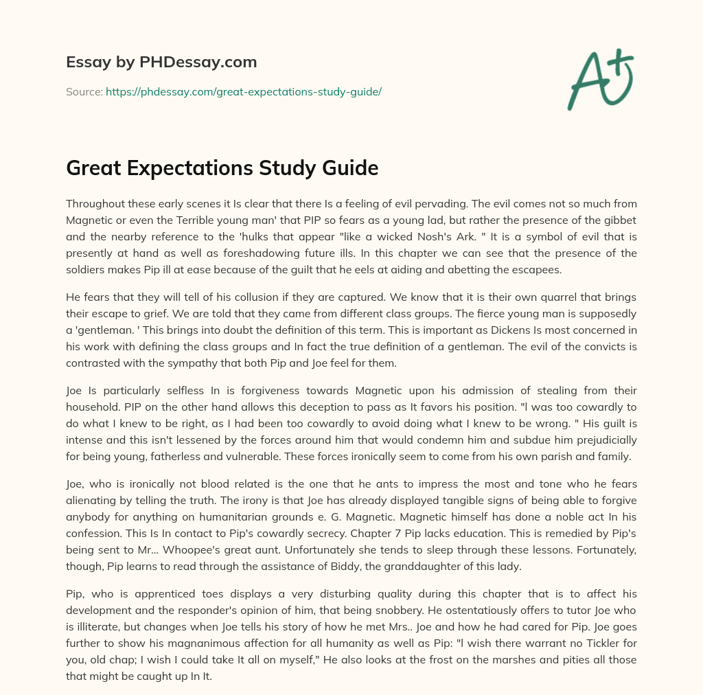 Great Expectations Study Guide essay