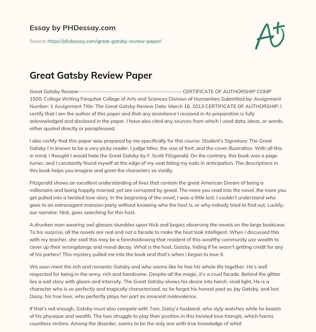 Great Gatsby Review Paper essay