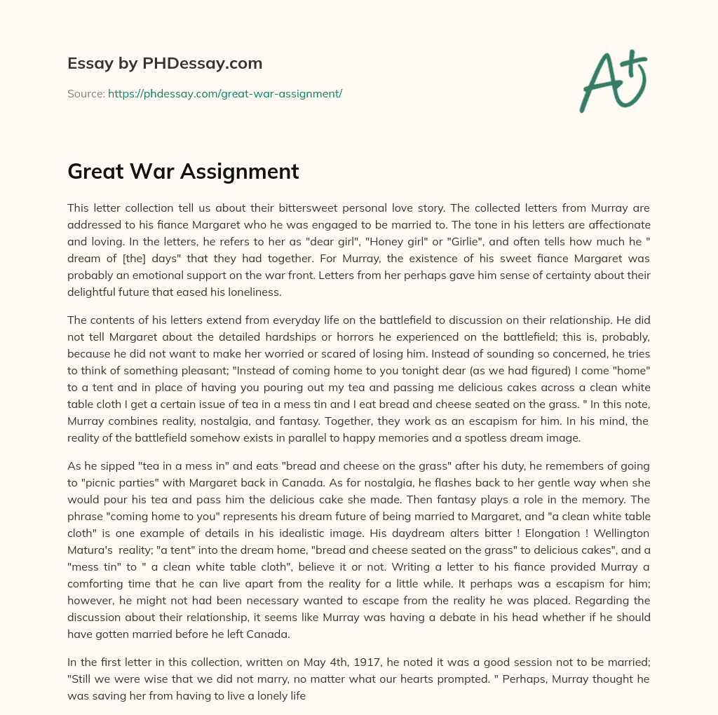 Great War Assignment essay