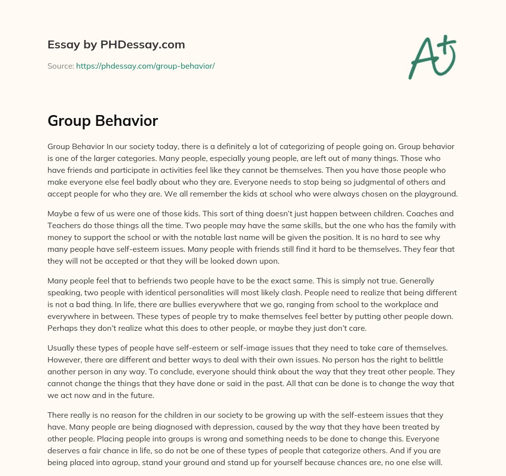Group Behavior essay