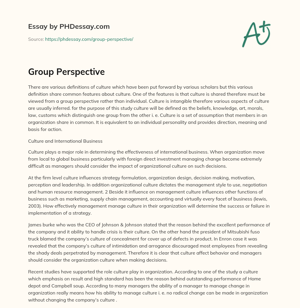 Group Perspective essay