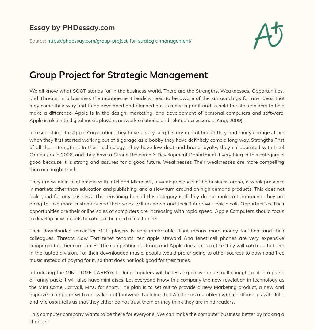 Group Project for Strategic Management essay