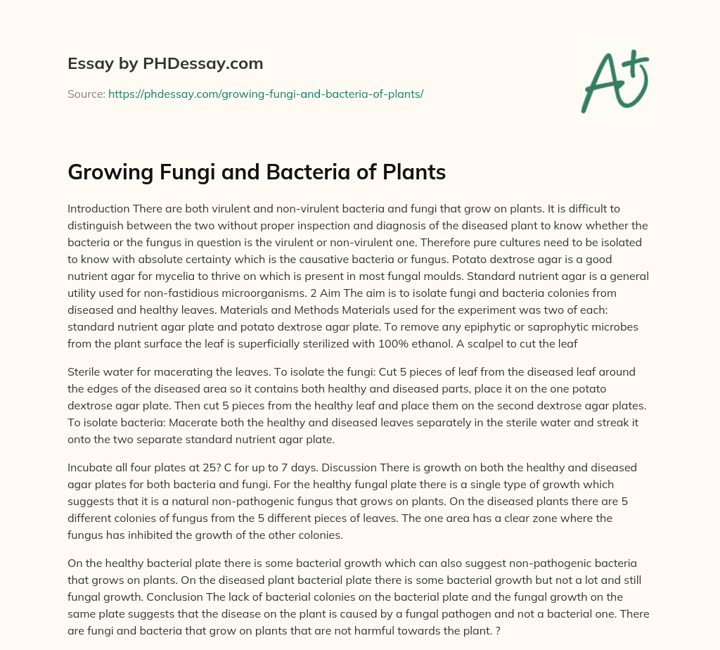 Growing Fungi and Bacteria of Plants essay