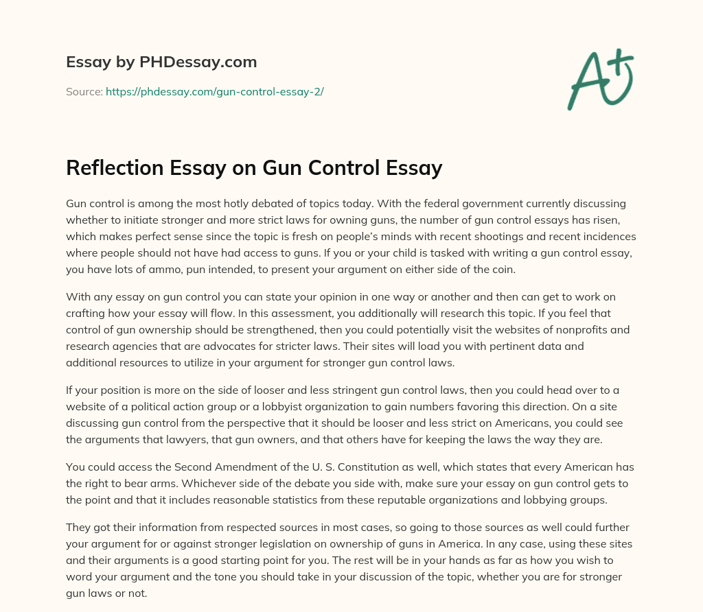 Reflection Essay on Gun Control Essay essay