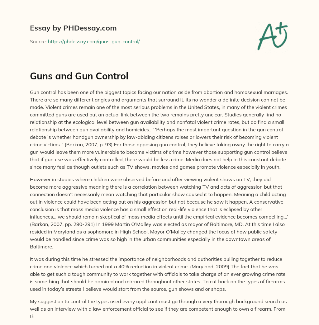 descriptive essay about gun control