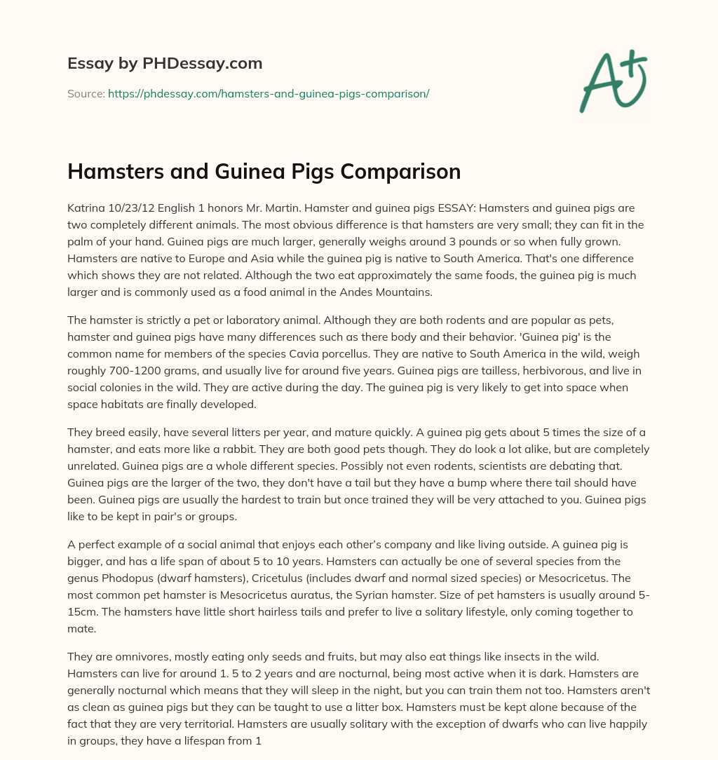 Hamsters and Guinea Pigs Comparison essay