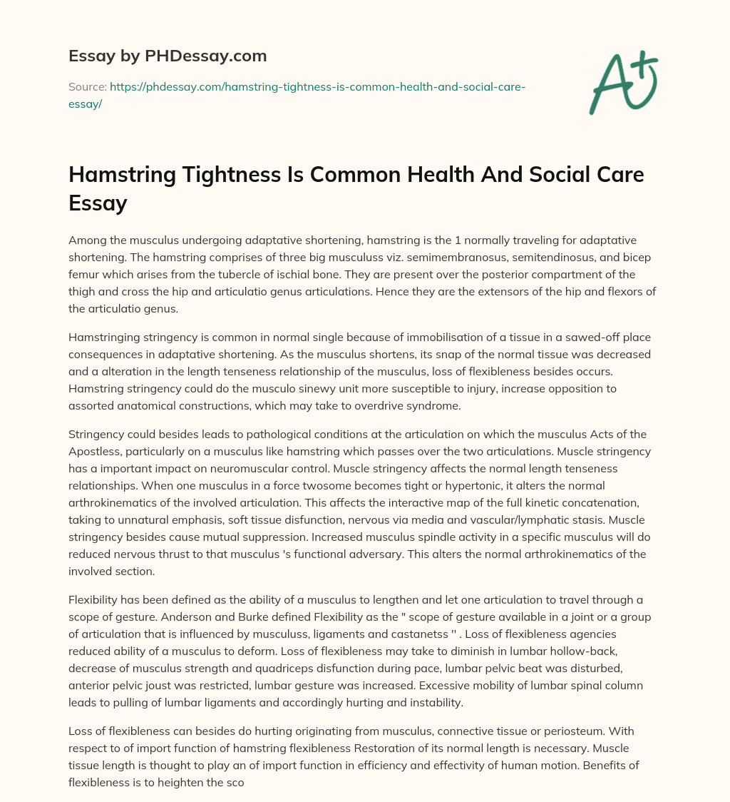 Hamstring Tightness Is Common Health And Social Care Essay essay