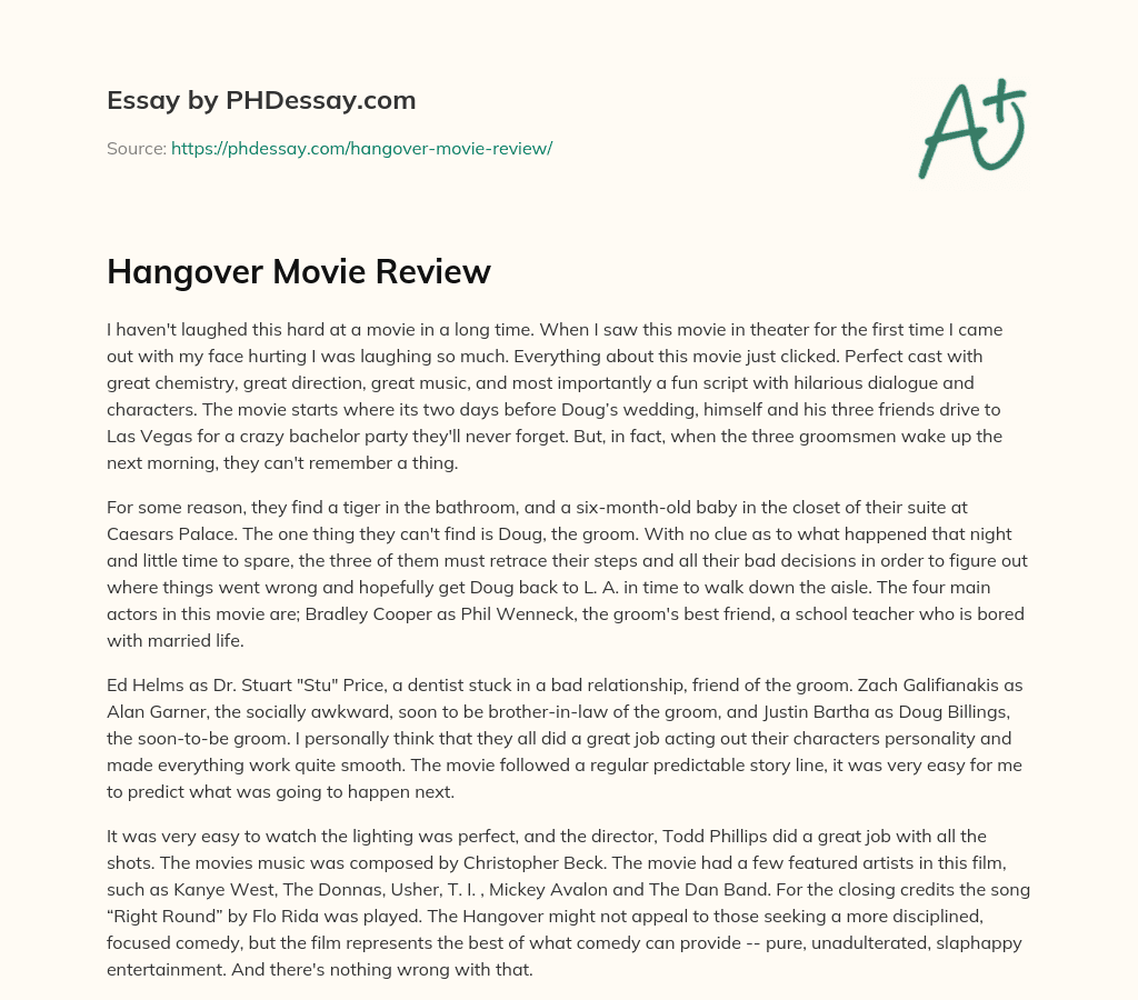 Hangover Movie Review essay