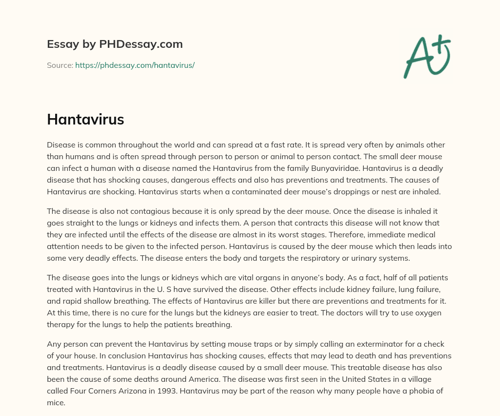 The Deadly Hantavirus: Causes, Effects, and Prevention essay
