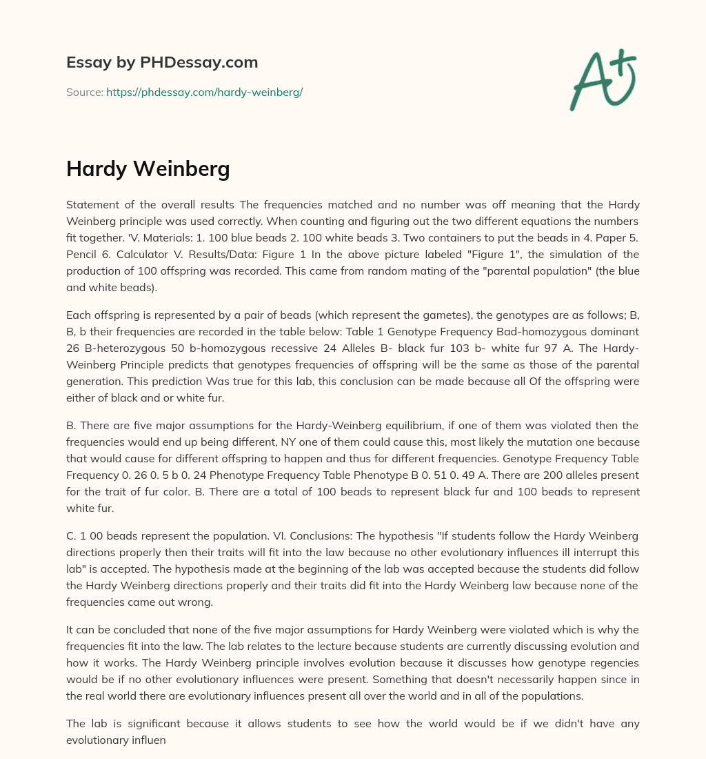 Hardy Weinberg essay