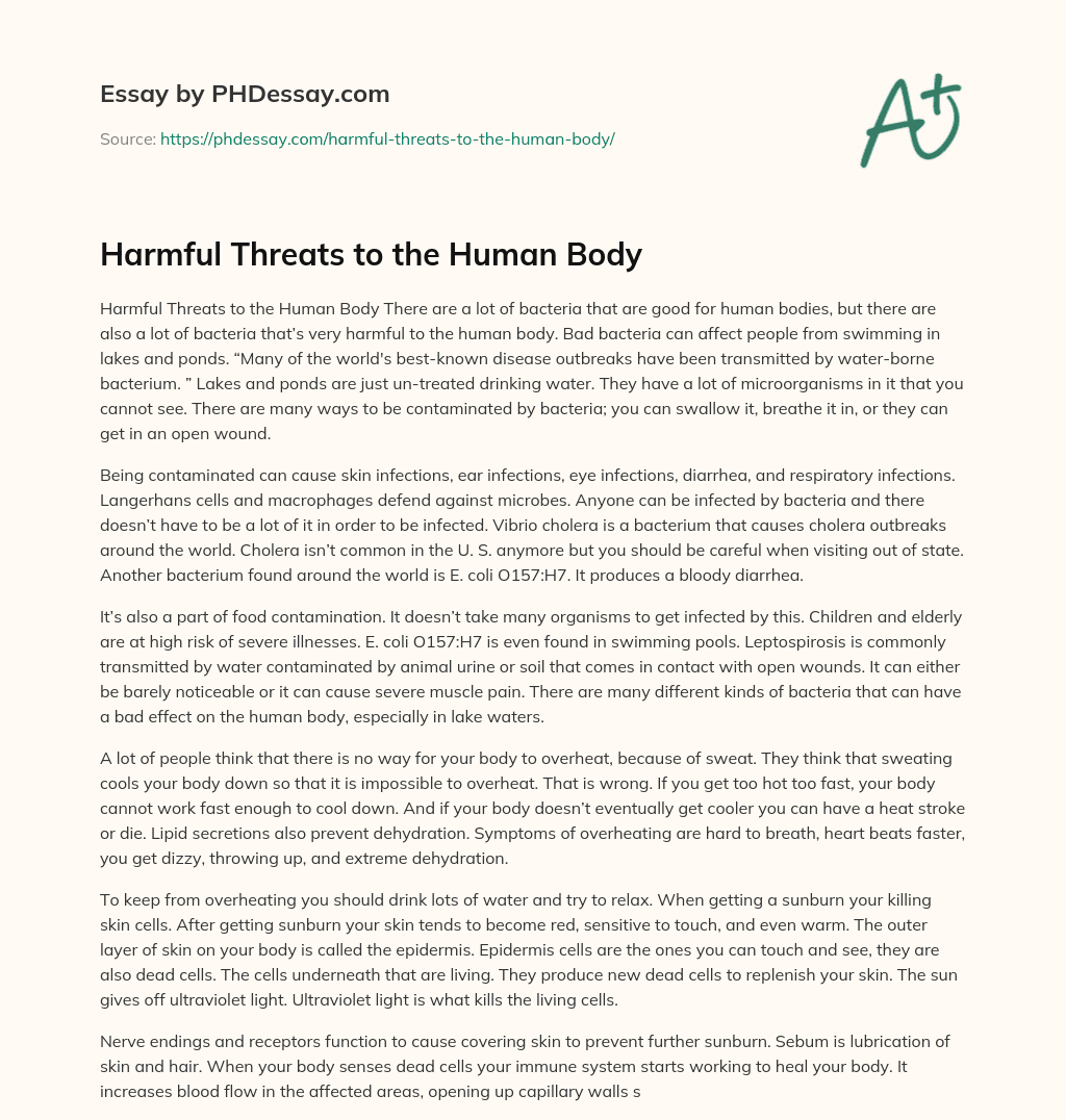 Harmful Threats to the Human Body essay