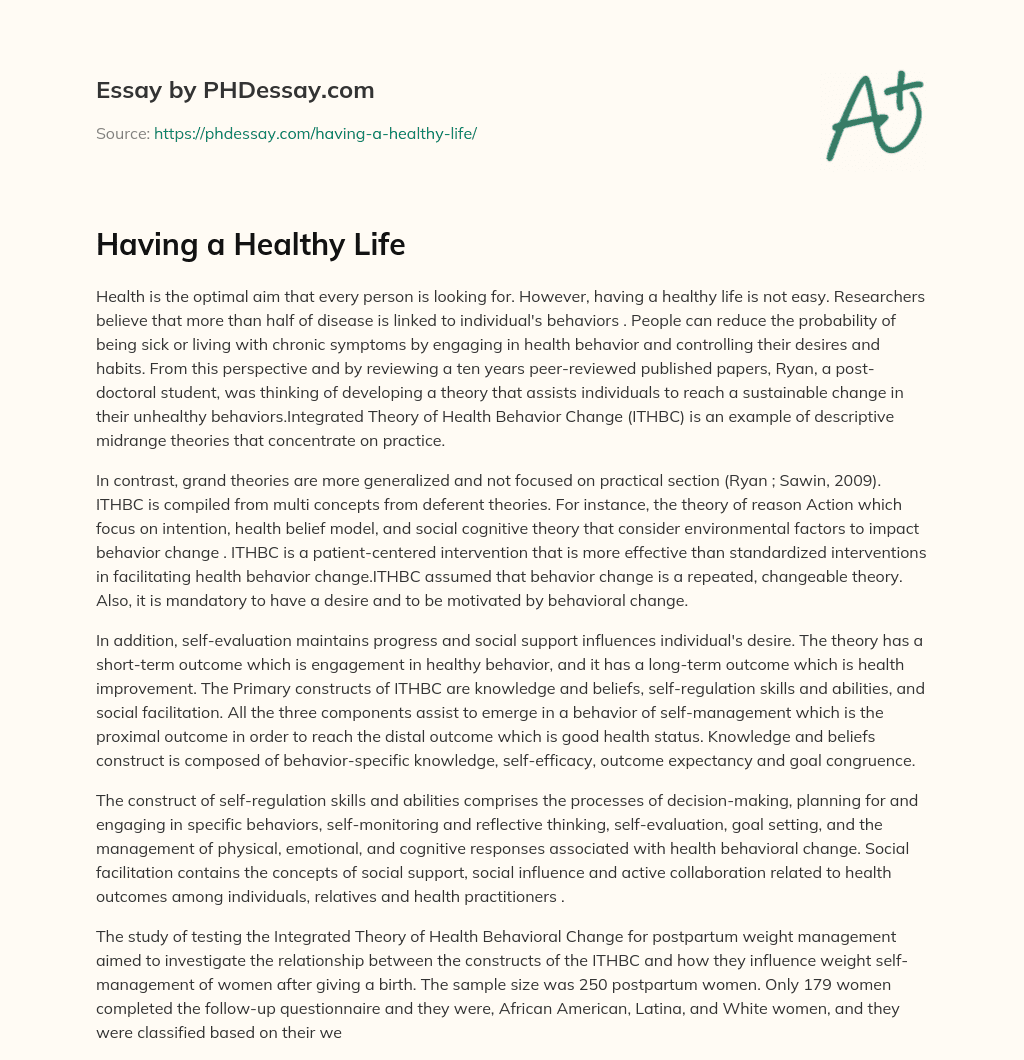 Having a Healthy Life essay