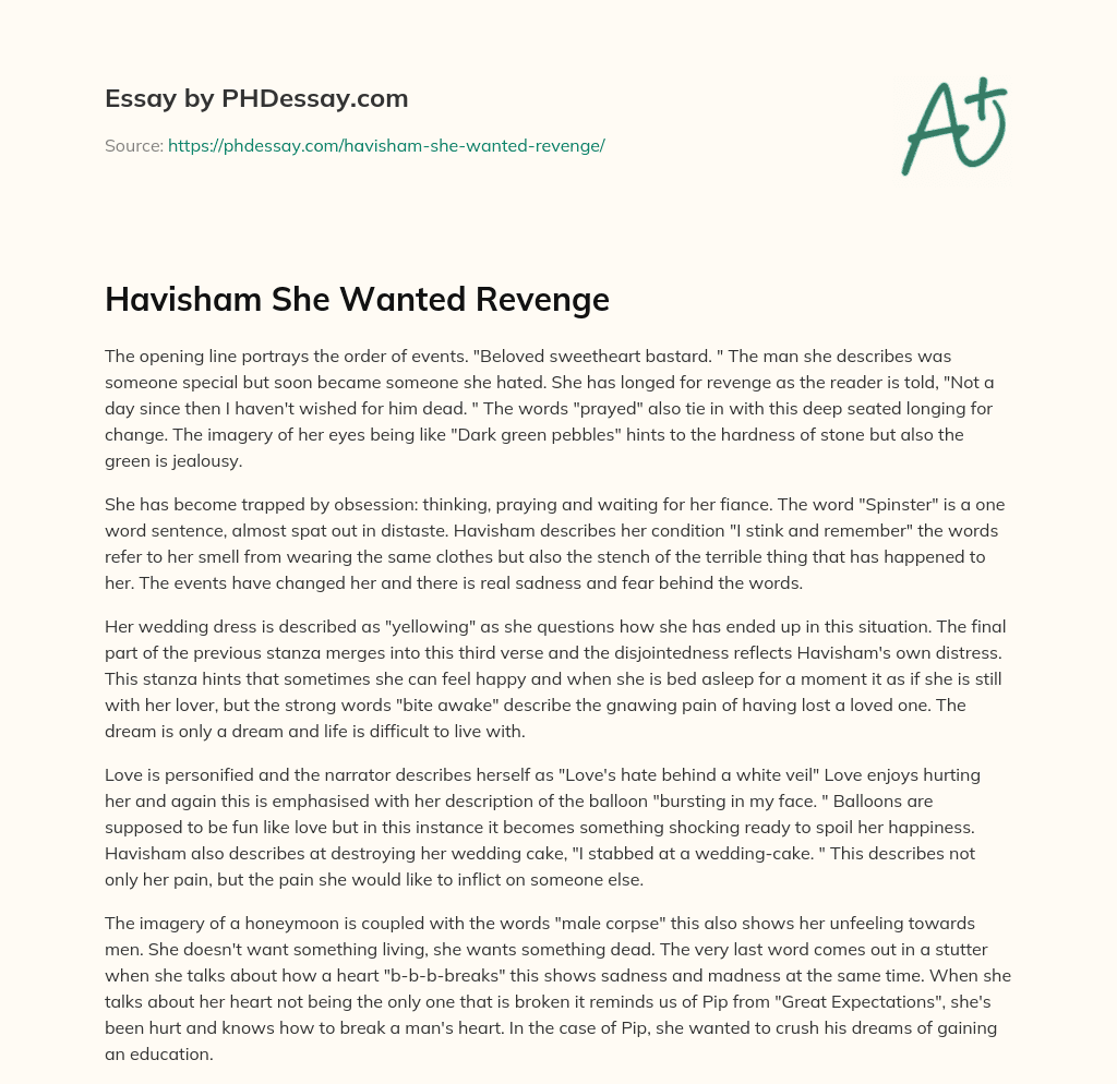 Havisham She Wanted Revenge essay
