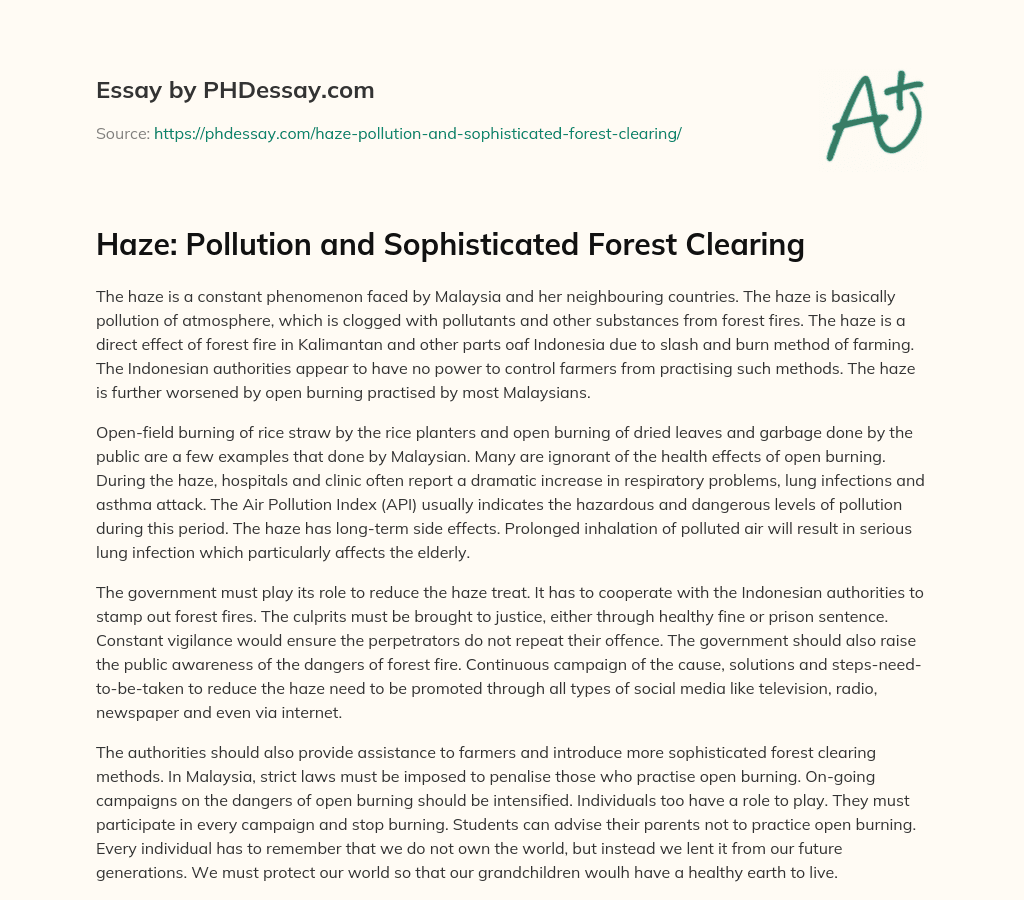 Haze: Pollution and Sophisticated Forest Clearing essay