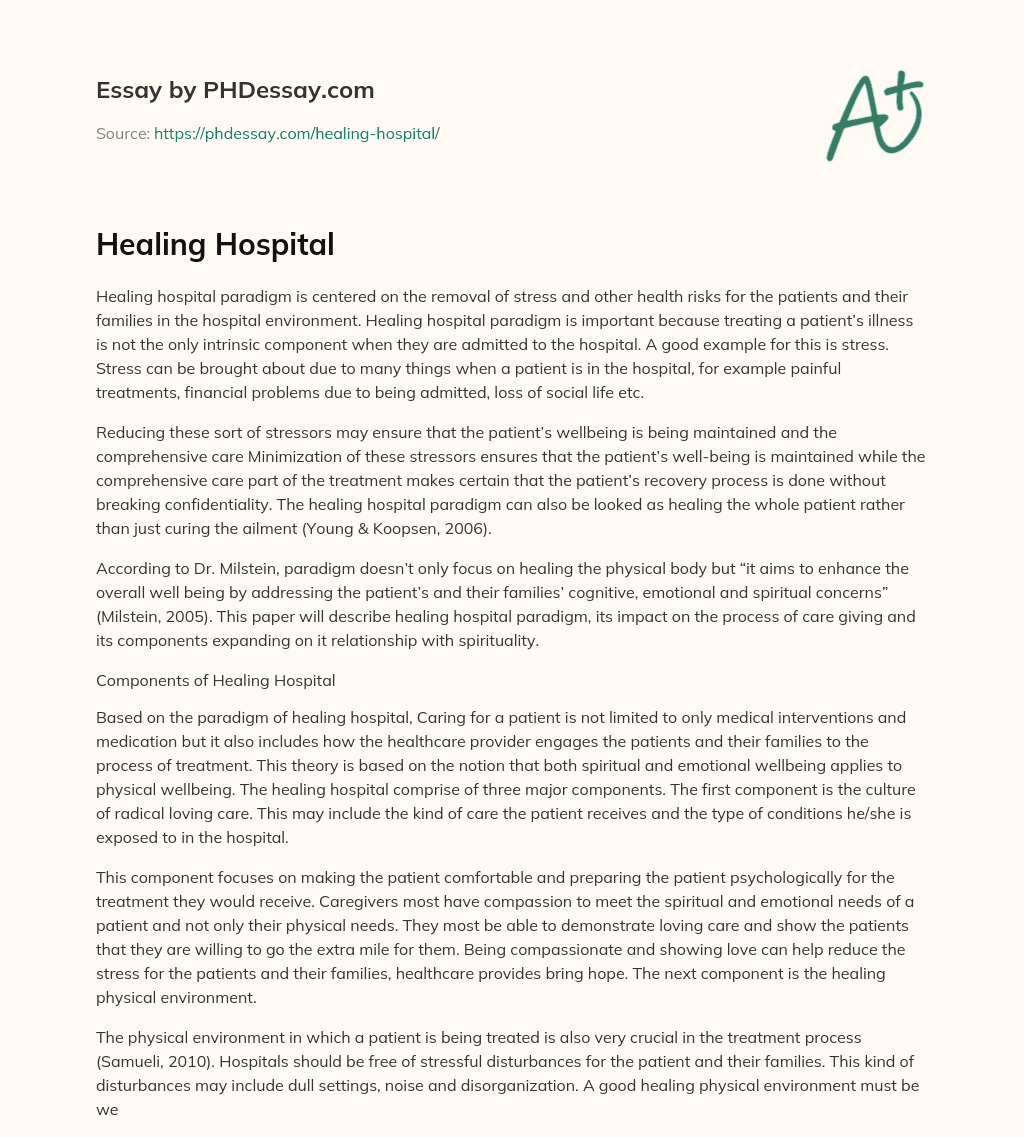 Healing Hospital essay
