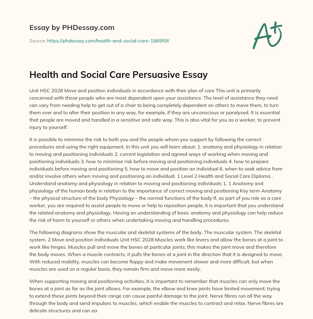 Health and Social Care Persuasive Essay essay